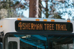 Close-up of a bus with Sherman Tree Trail as its destination in a natural park setting.