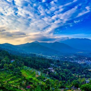 Jual Videowall Wonosobo