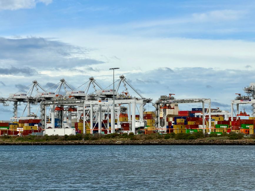 Automated container inspection