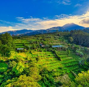 Jual videotron Bener Meriah